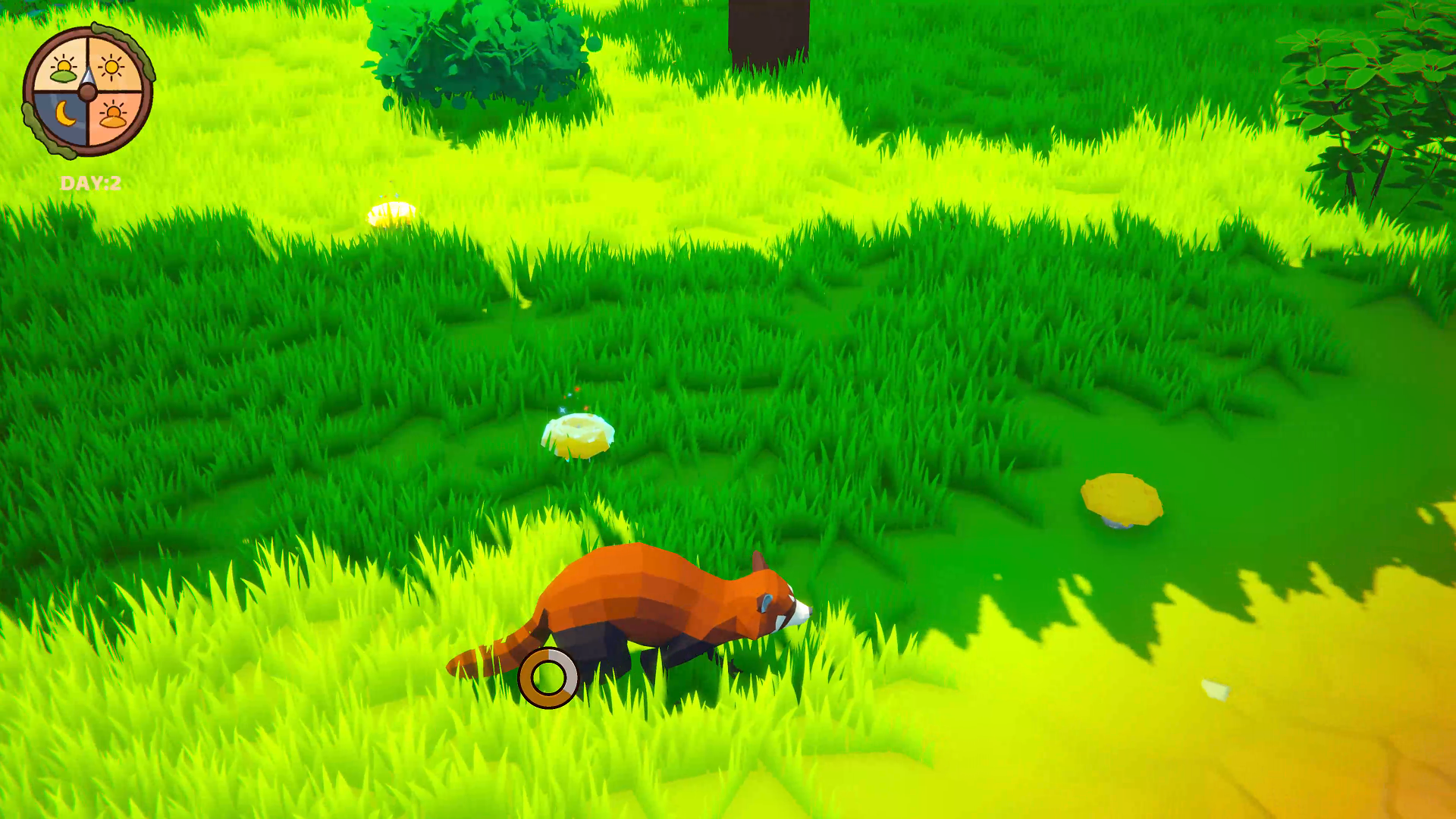 Fluffy Alchemist - Rare mushroom